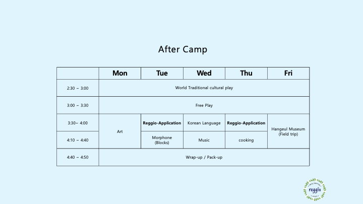 Reggio Summer Camp: 3 DAYS